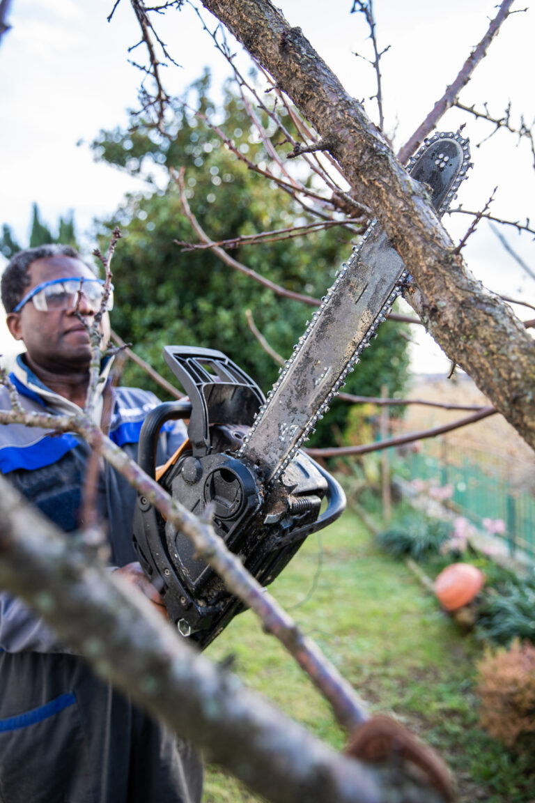 Tree worker in safety glasses sawing a thin branch